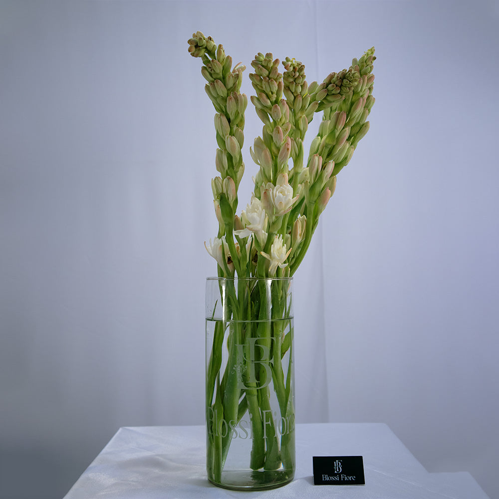 Glass Aura Tuberoses