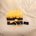 Delight - Black Block