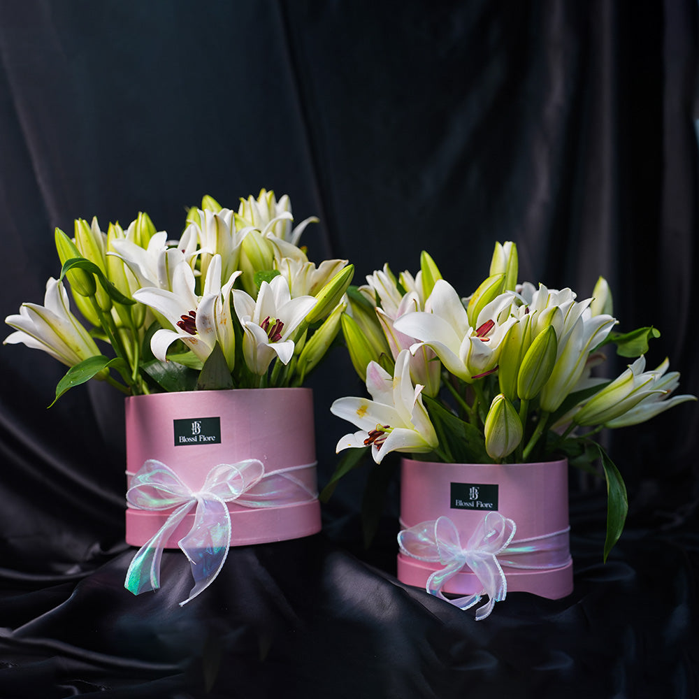 Blush Elegance