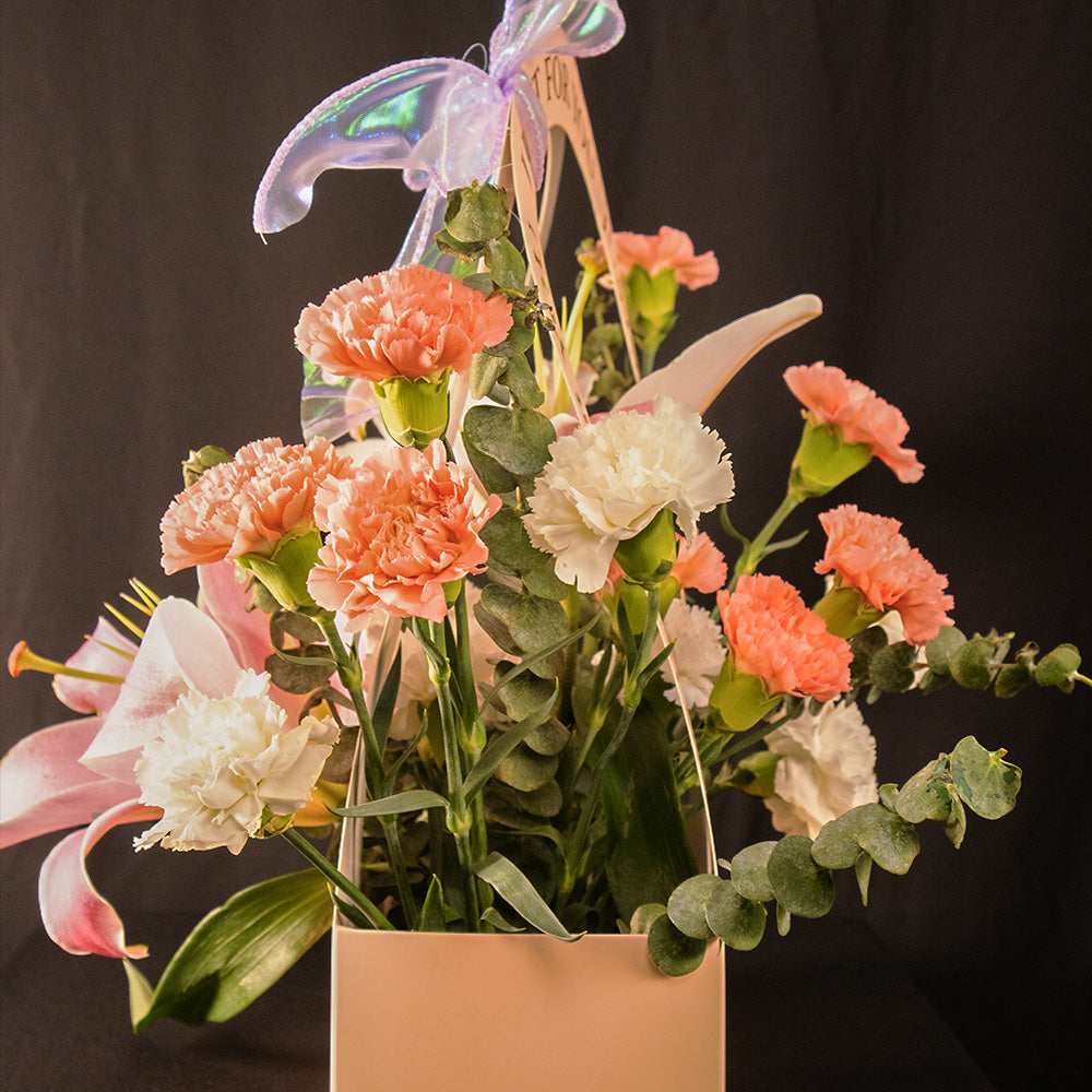 Lilium Floretta