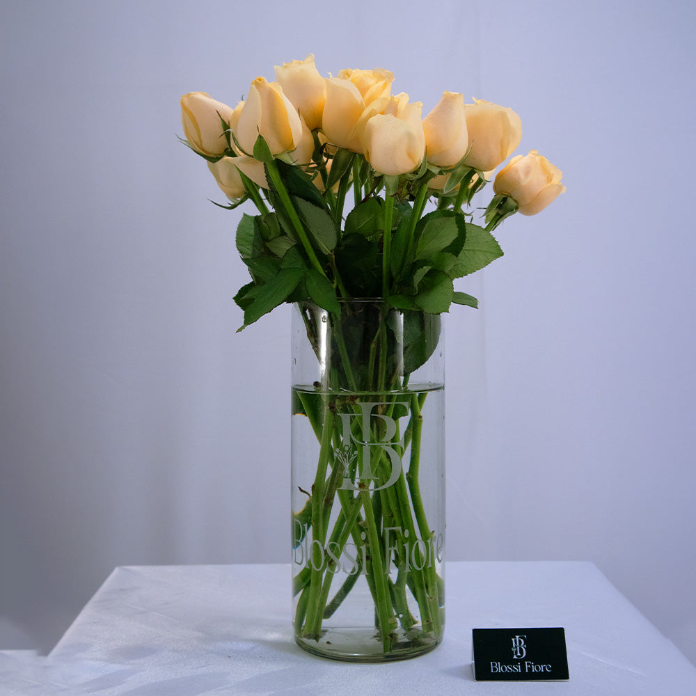 Glass Aura ⁠peach roses
