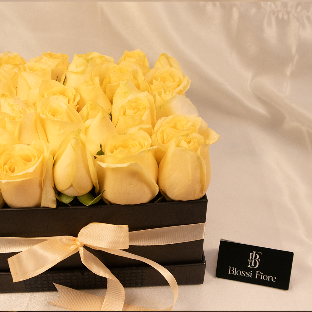 Delight - Black Block